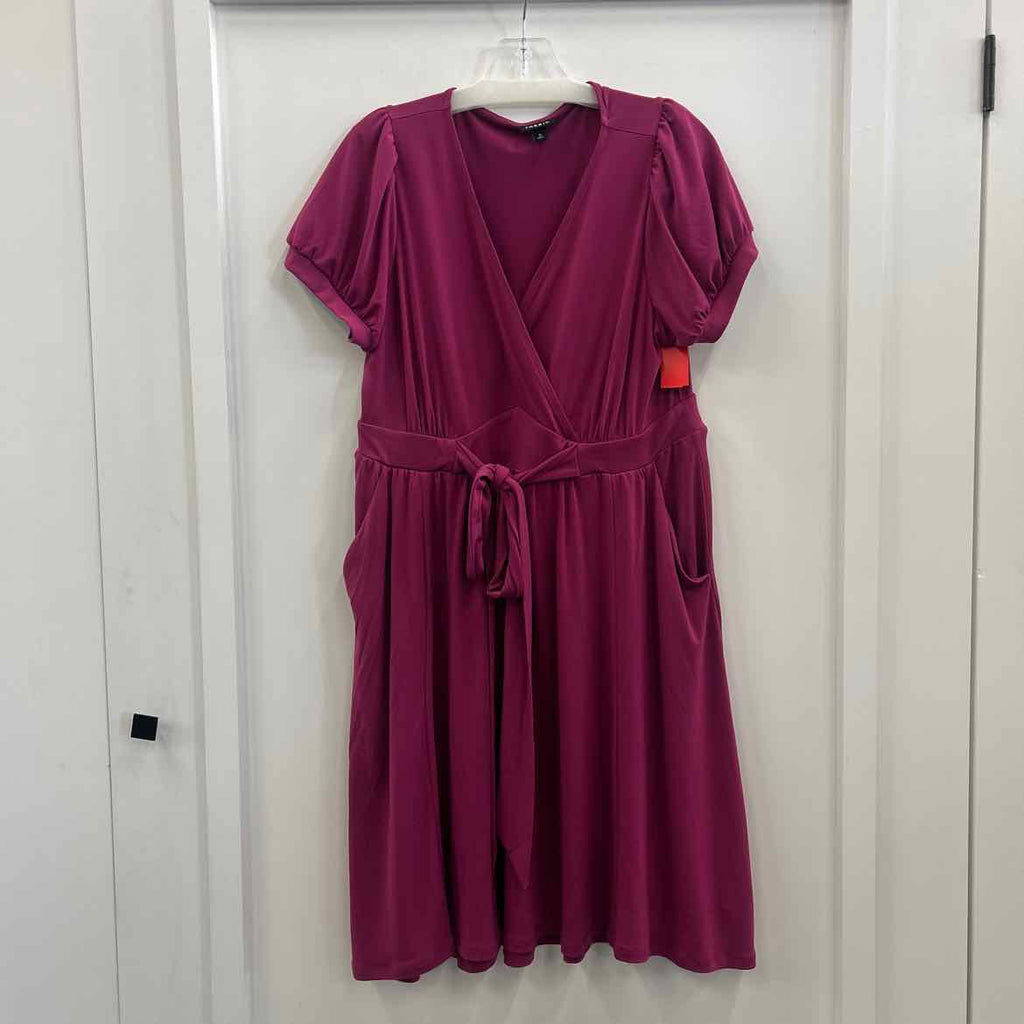 Torrid Size 0 Purple Preloved Dress