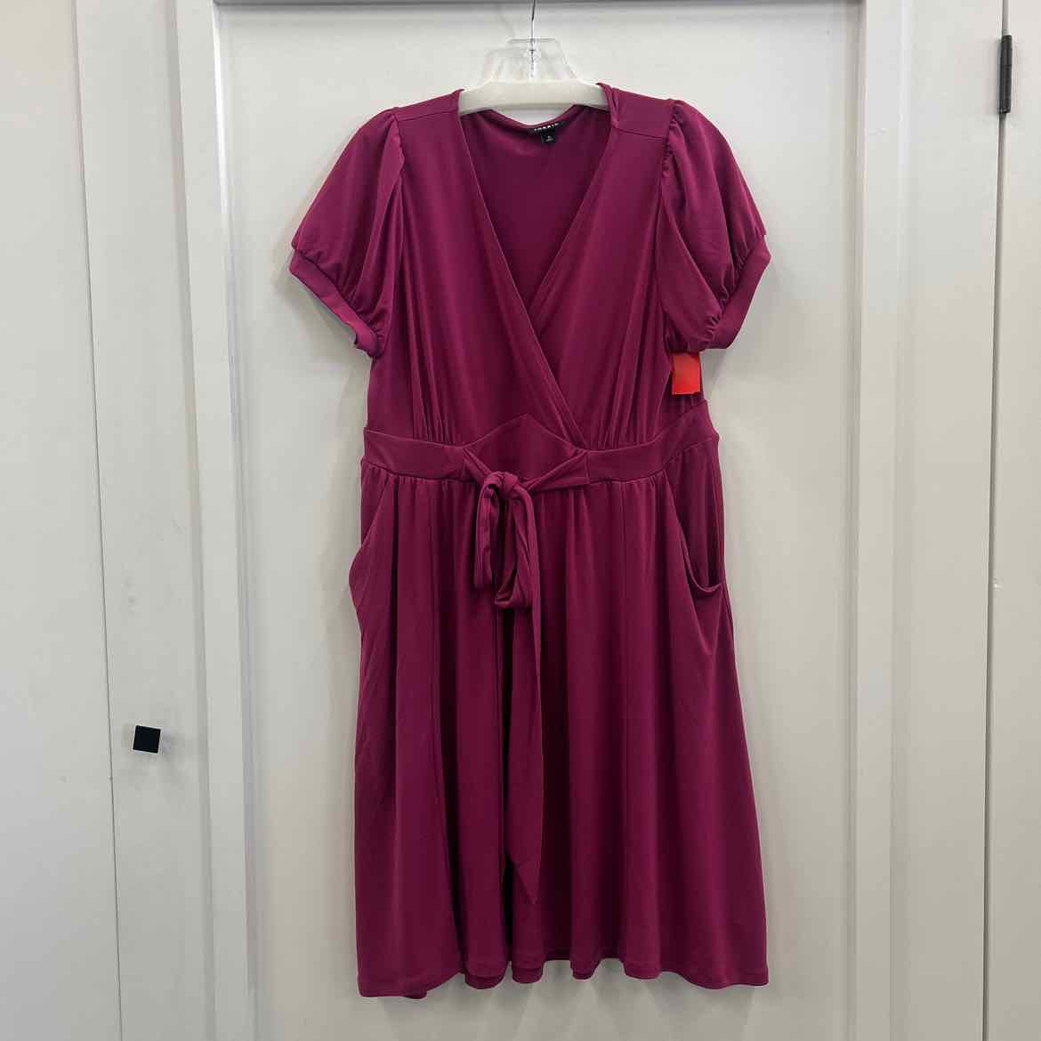 Torrid Size 0 Purple Preloved Dress