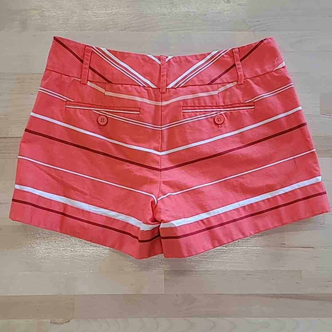 7th avenue Size 2 Orange Shorts