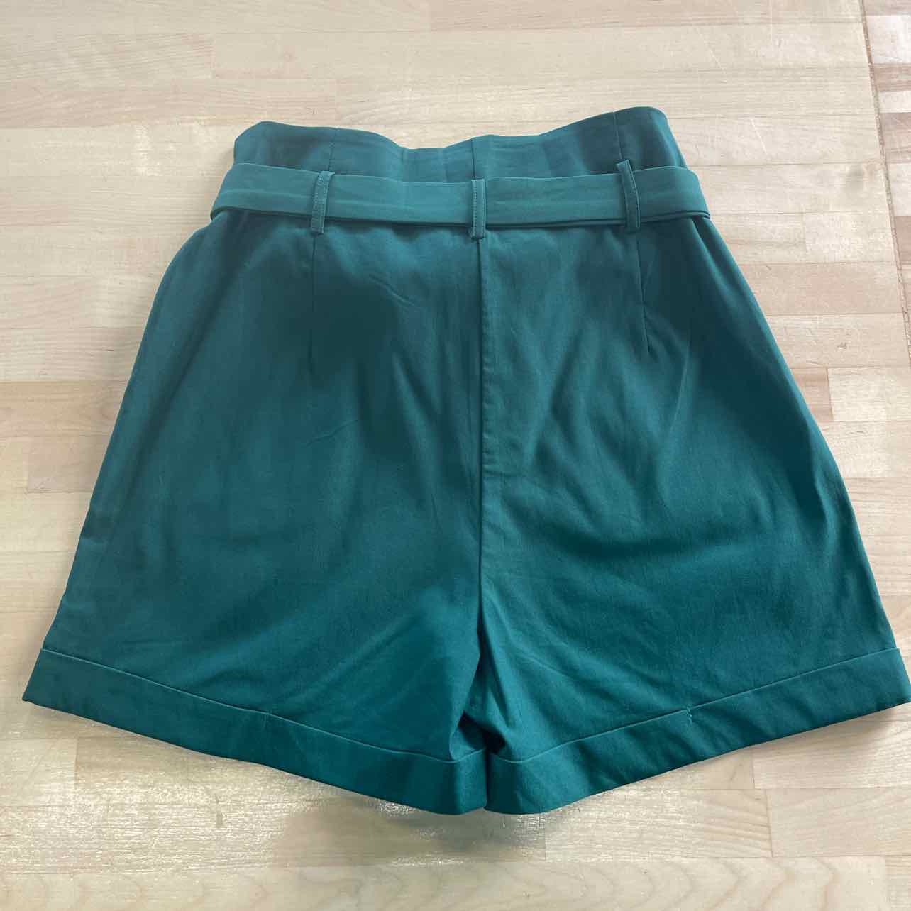Chocolate Women Size M Green Preloved Shorts