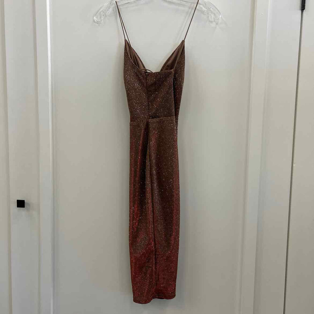 Windsor Size S Rose Gold Dress