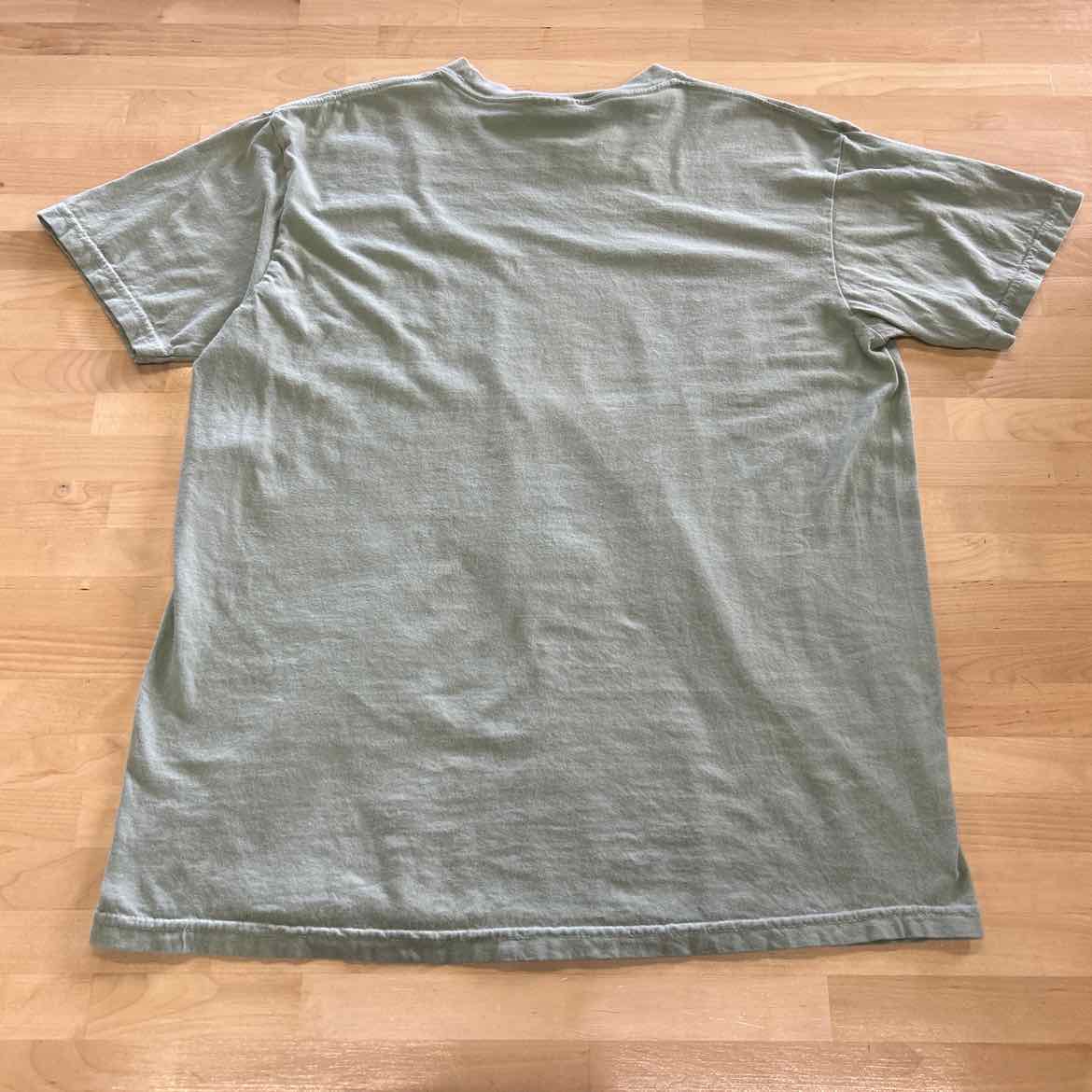 Comfort Colors Size L Green MENS T-shirt