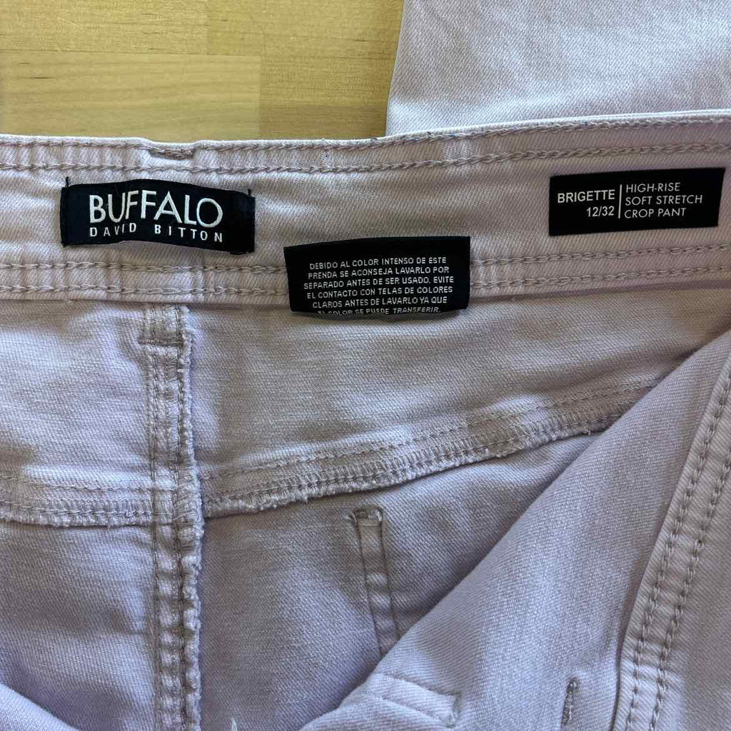 David Bitton Size 12 Purple Used Pants
