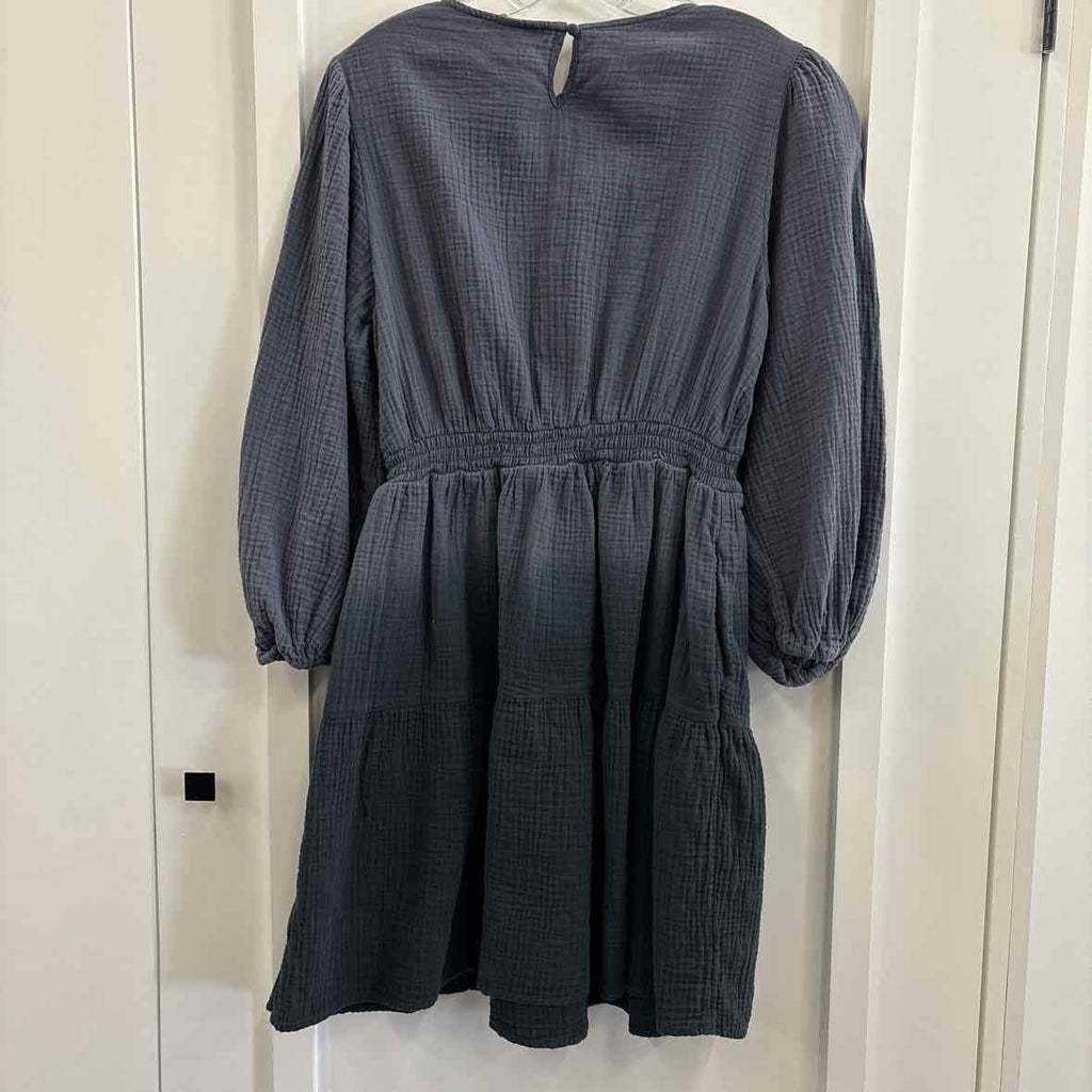 Universal Thread Size L Gray Dress