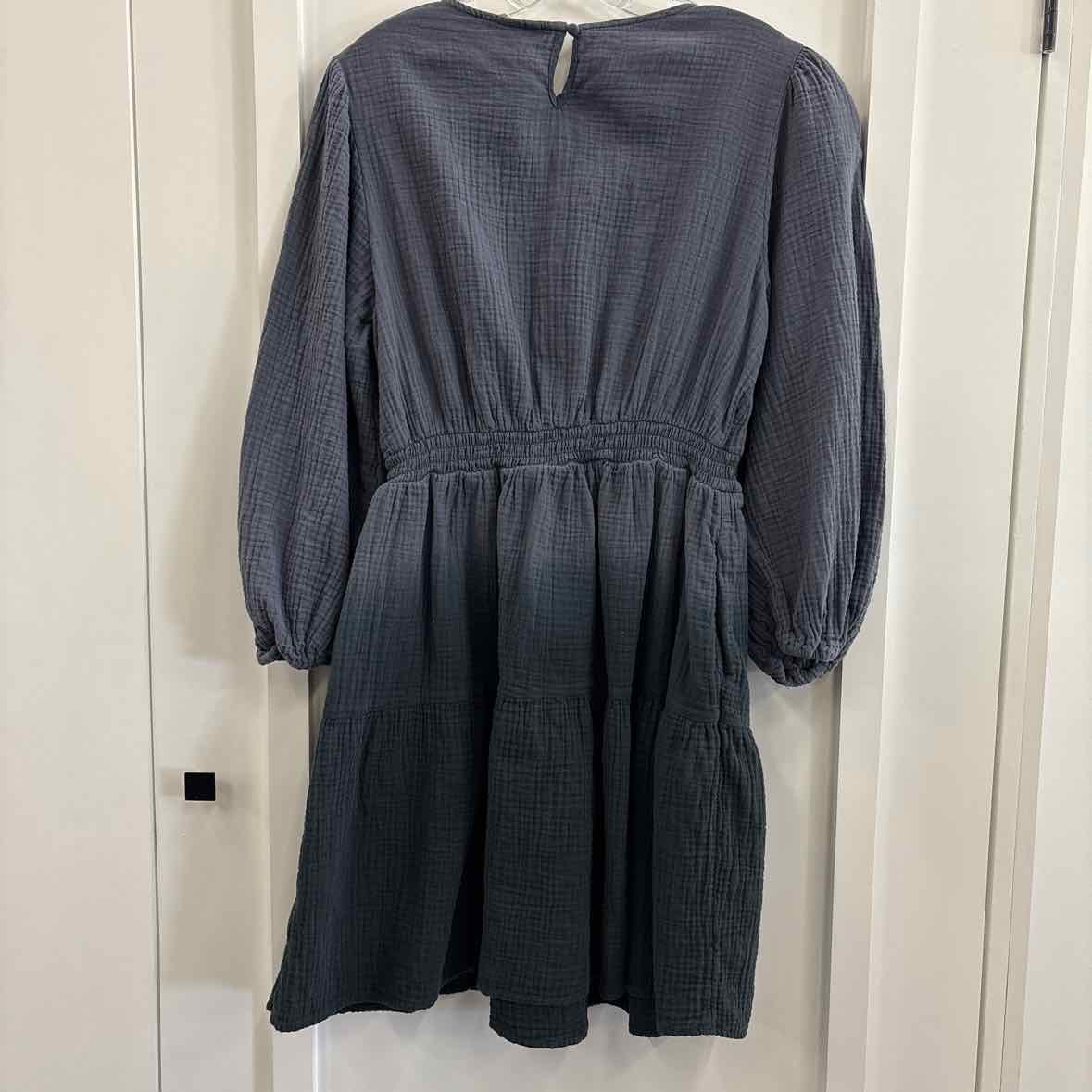 Universal Thread Size L Gray Dress
