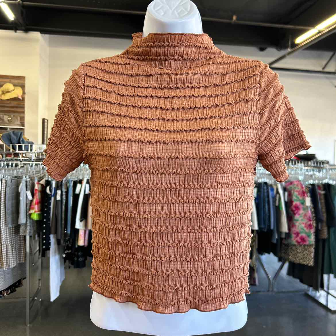 Divided Size M Brown Crop Top