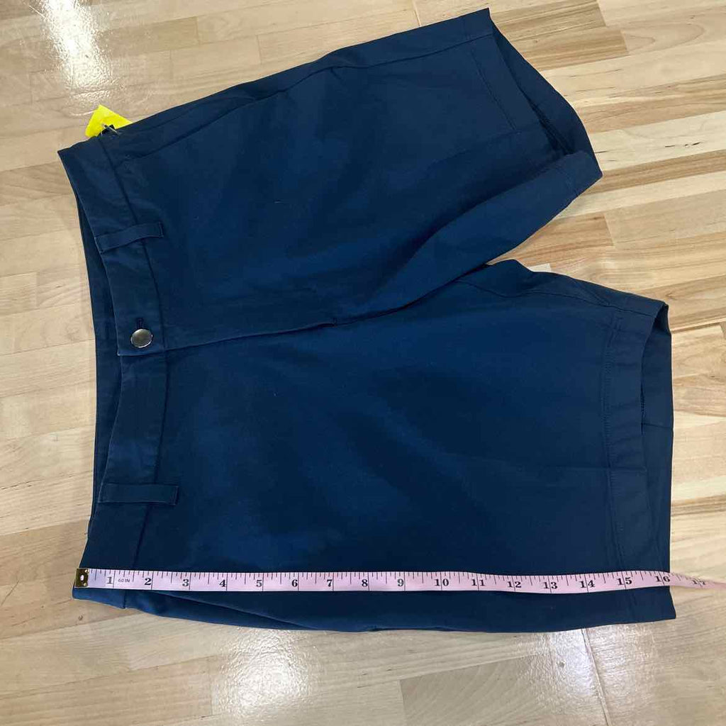 LuluLemon Men's Size 30 Blue MENS Shorts