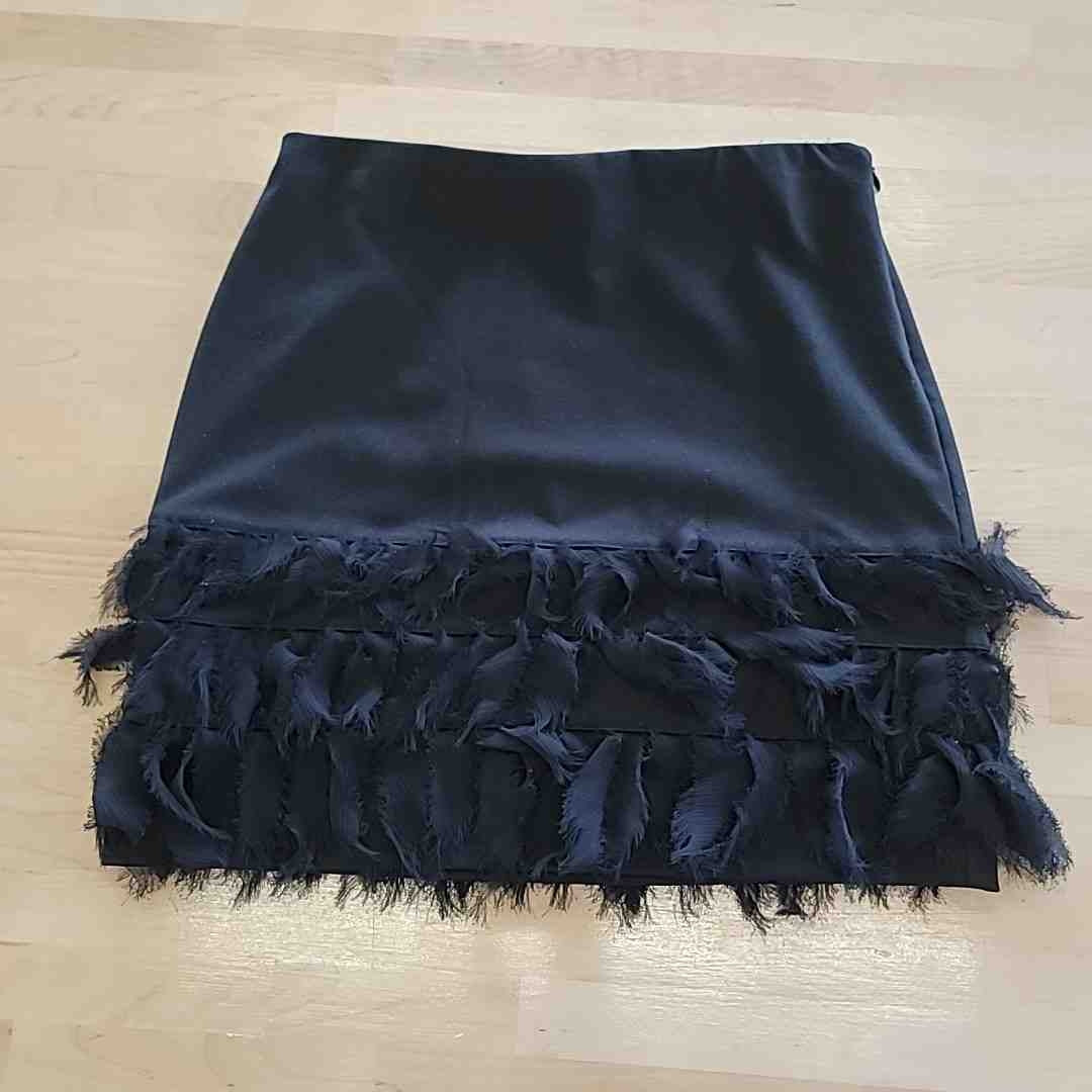 Ann Taylor Size 2P Black Skirt
