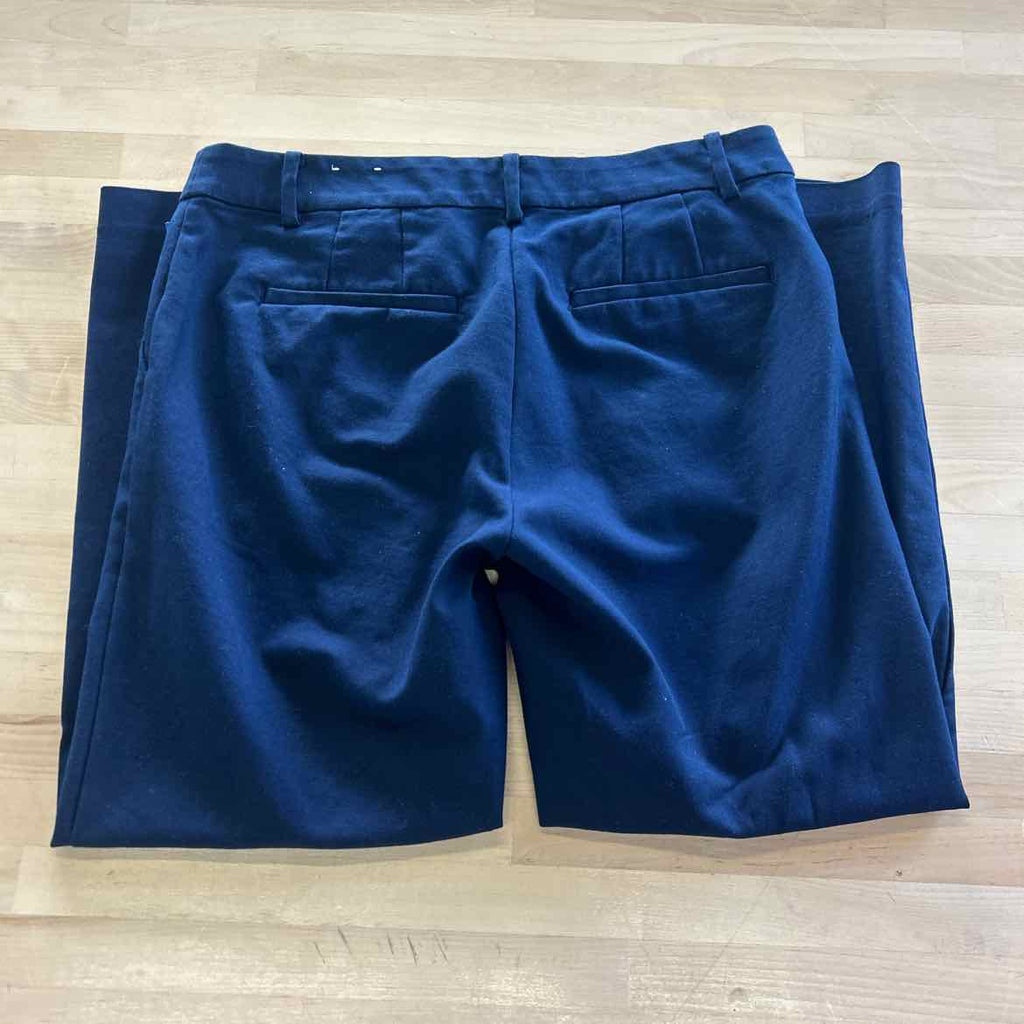 Loft Size 8 Navy Preloved Pants