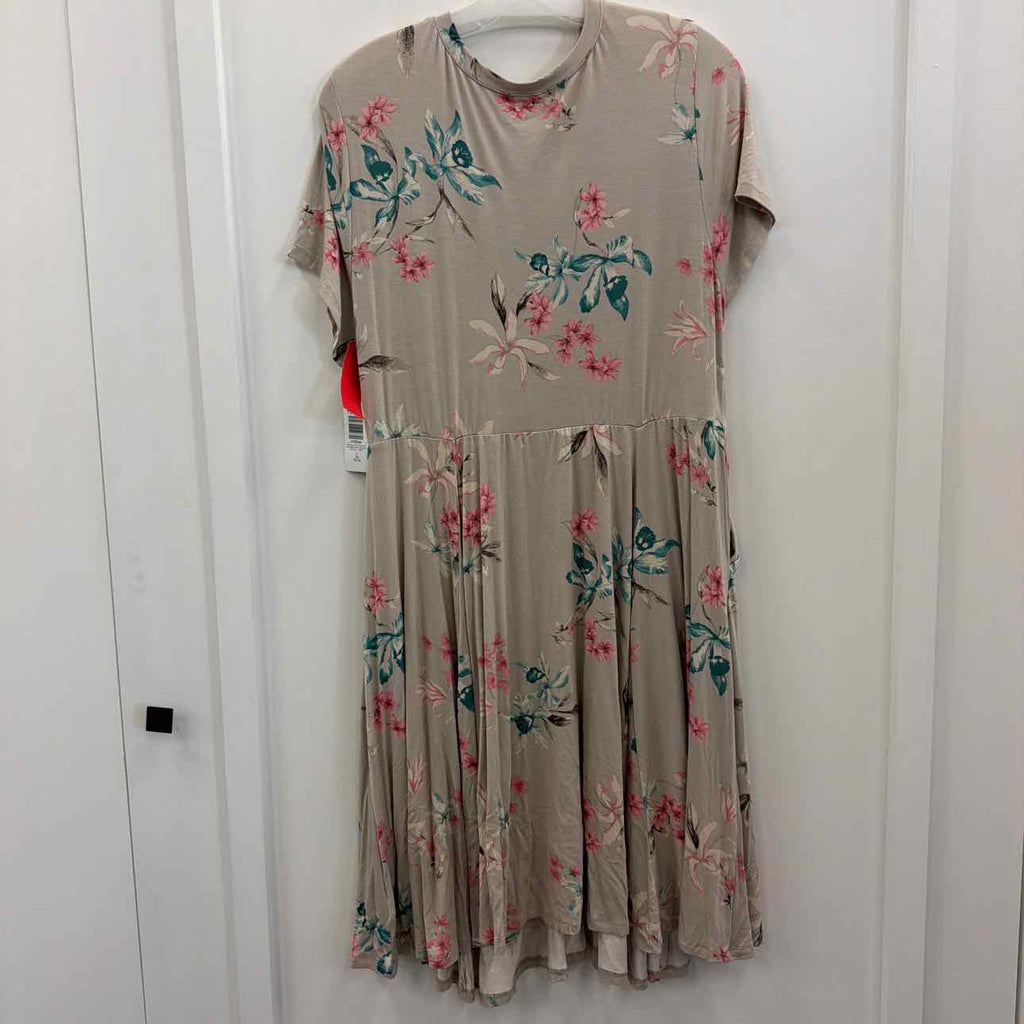 Torrid Size 1 Tan Preloved Dress