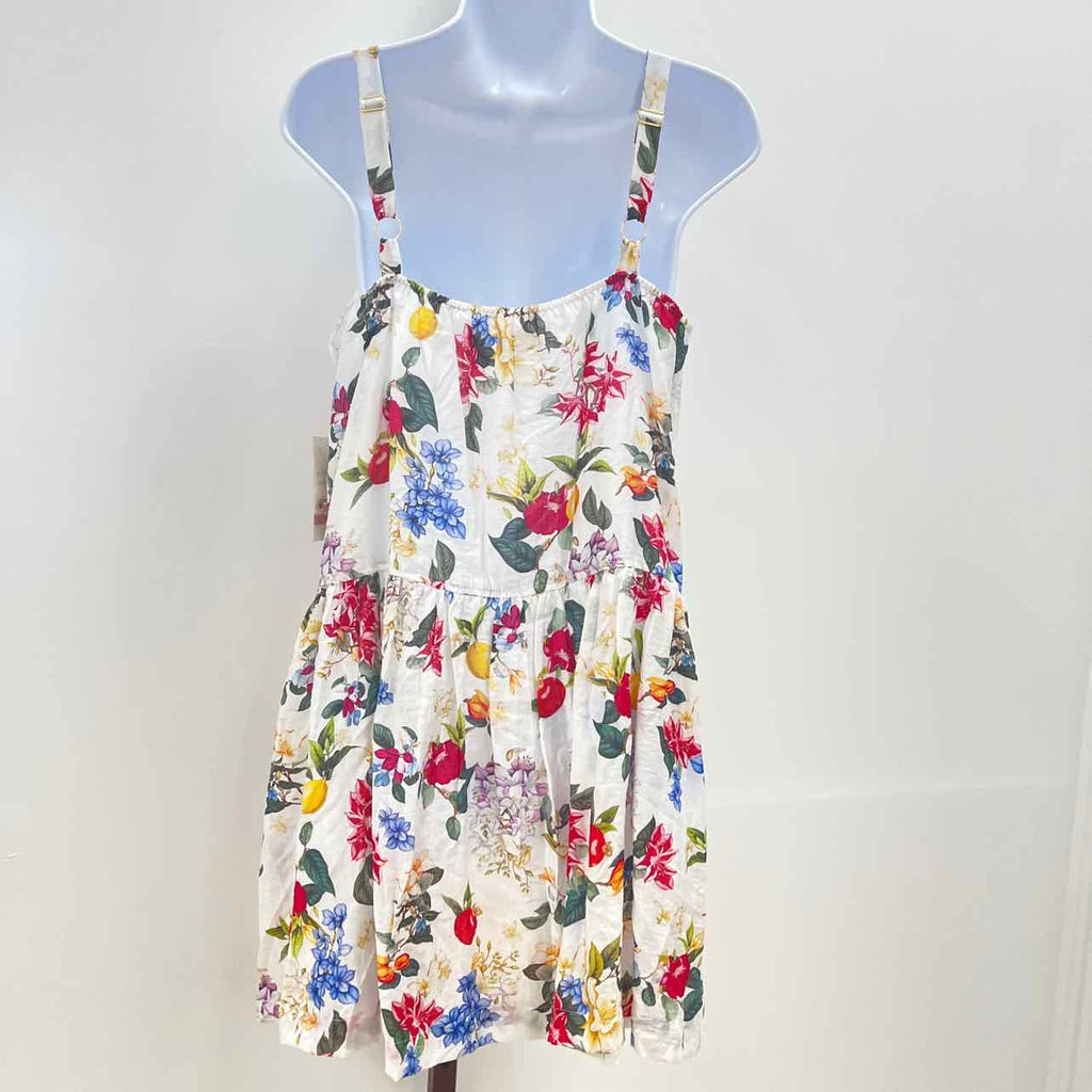 Taylor Size 10 Printed Drop-Waist Sleeveless Mini Dress - Ivory/radish Red