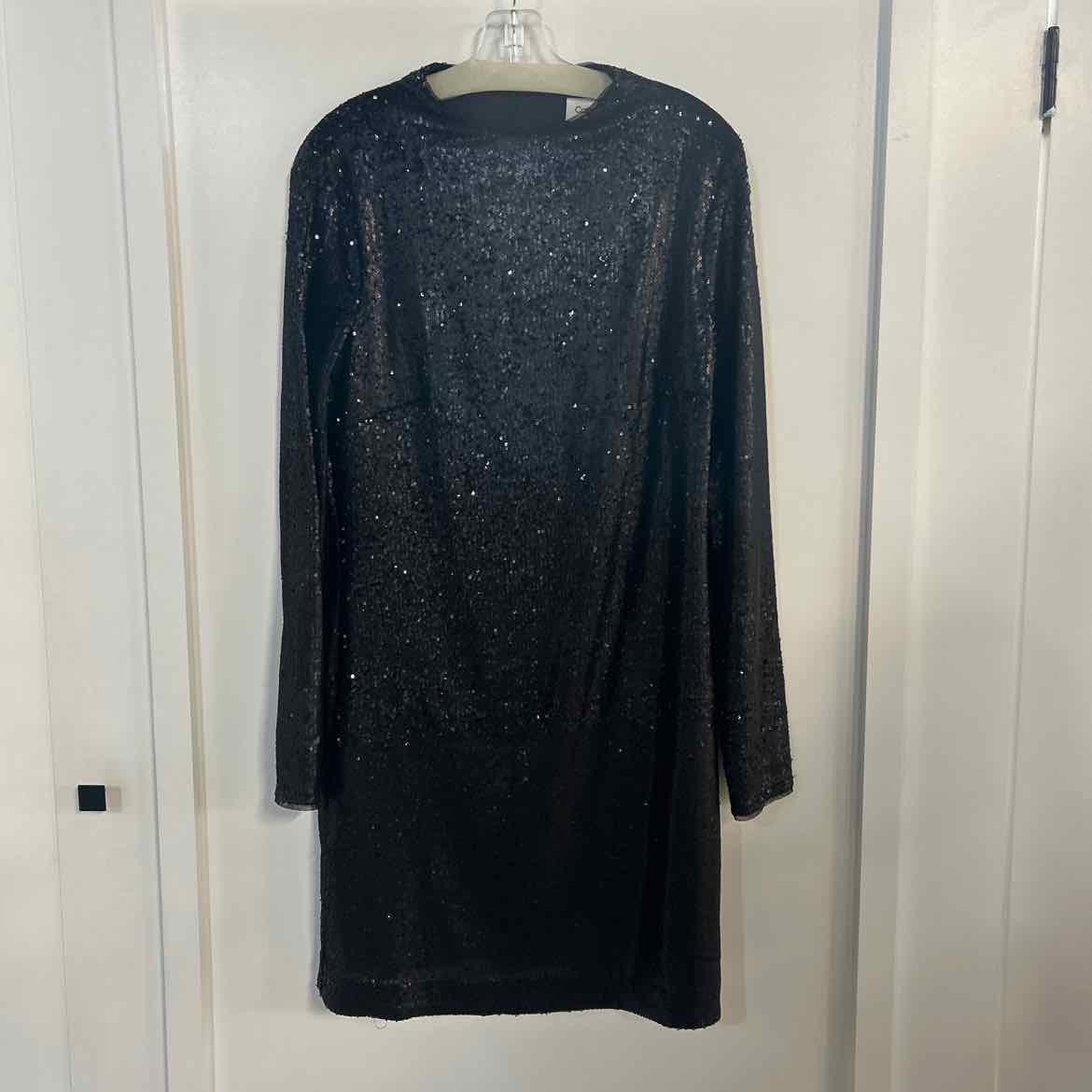Calvin Klein Size 12 Black Sequined Preloved Dress