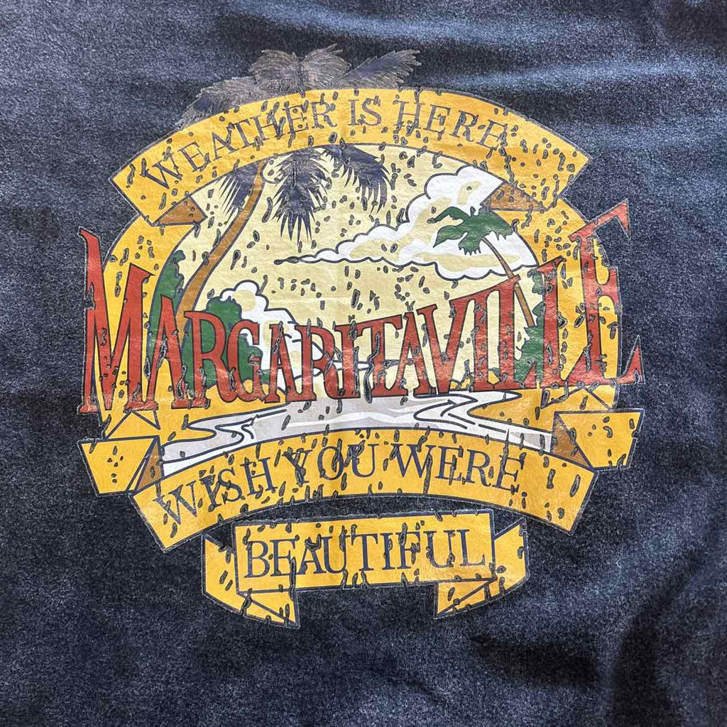 AssortedBrands Size 3 Gray Preloved T-Shirt SS
