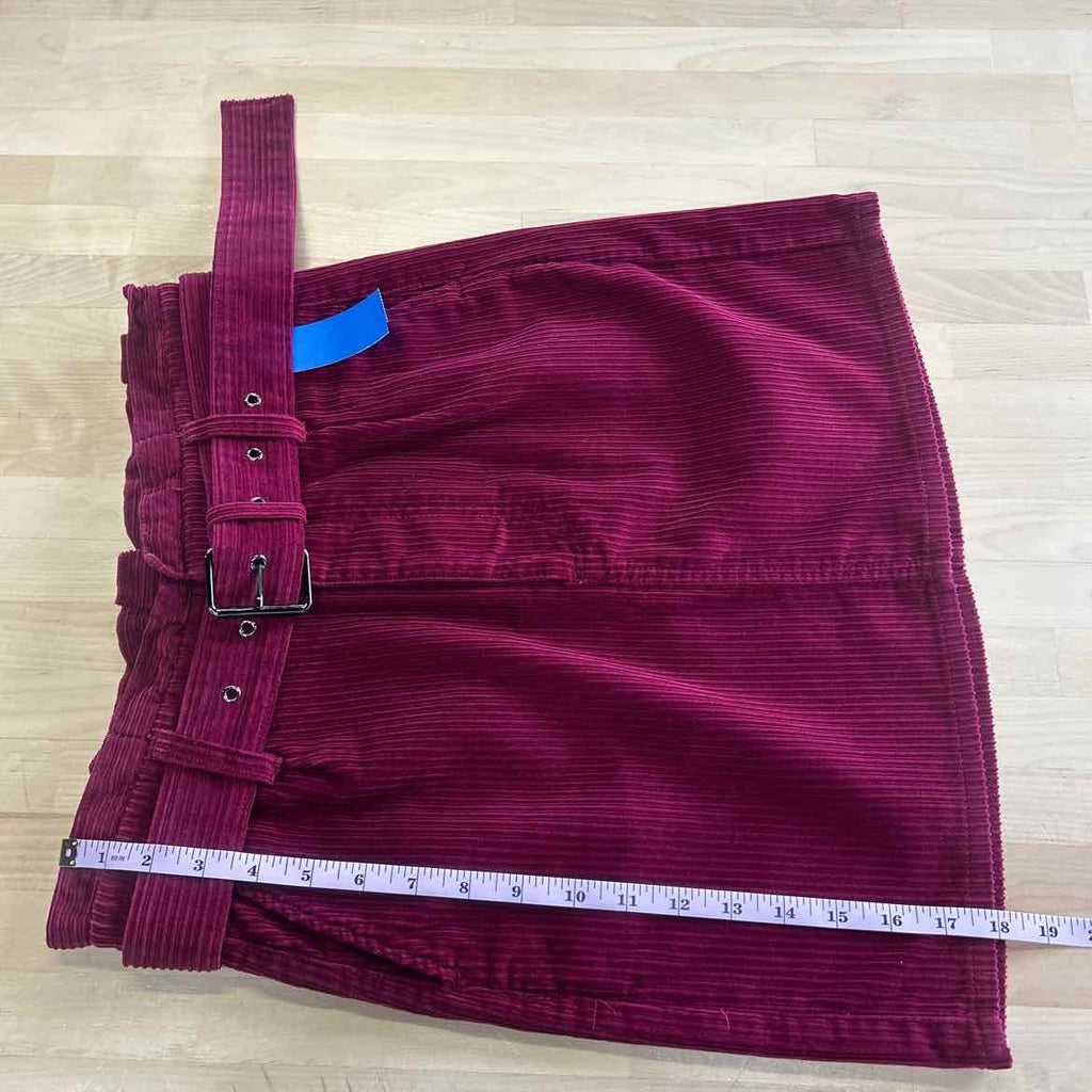 Express Size 4 Purple Corduroy Preloved Skirt