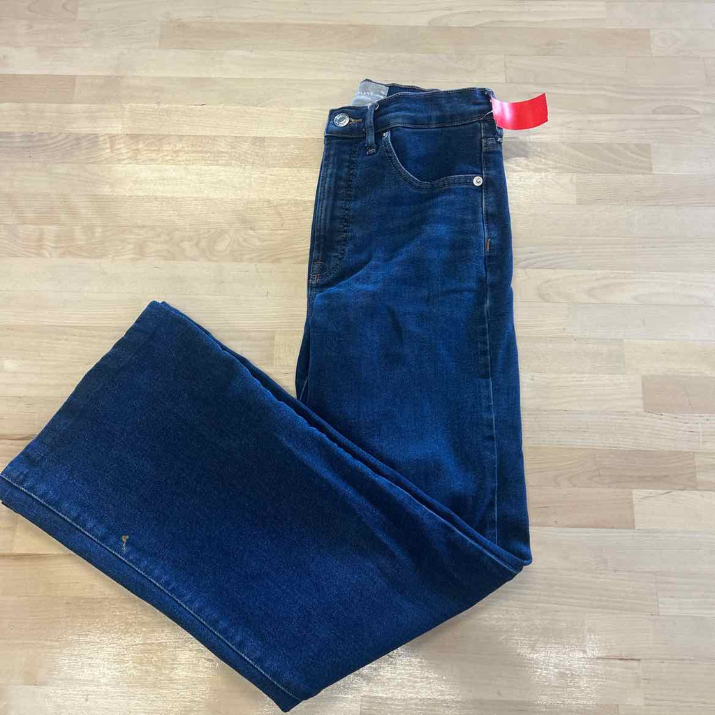 Everlane Size 26 Blue Denim Used Jeans