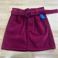 Express Size 4 Purple Corduroy Preloved Skirt