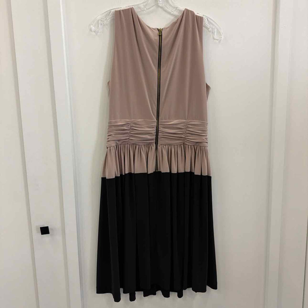 Taylor Size 10 Pink/Black Preloved Dress