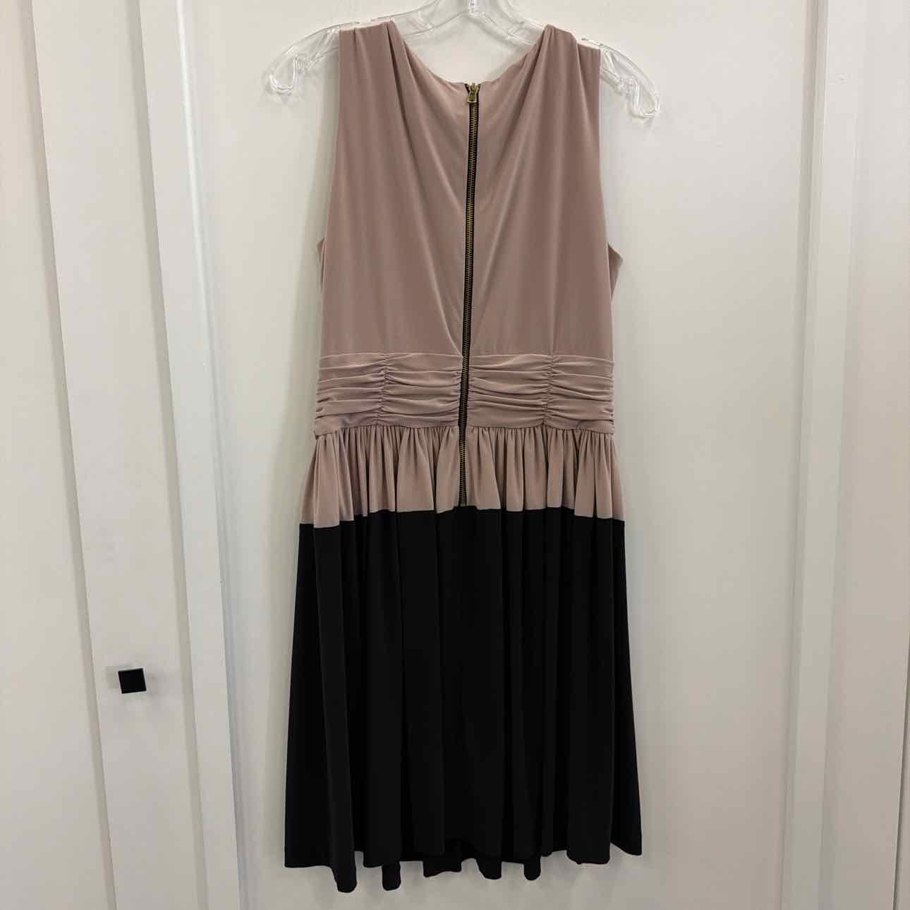 Taylor Size 10 Pink/Black Preloved Dress