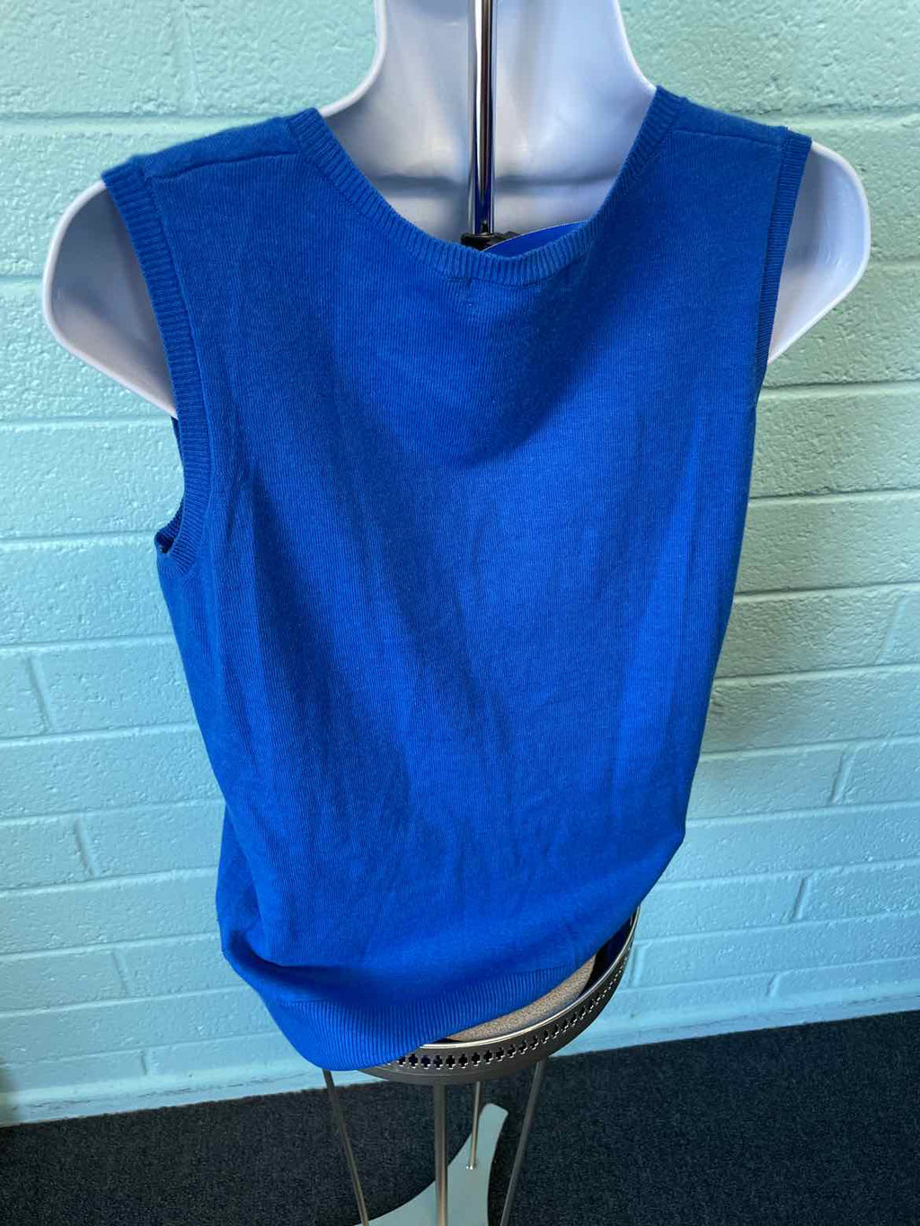 DG2 Size L Bright Blue Vest