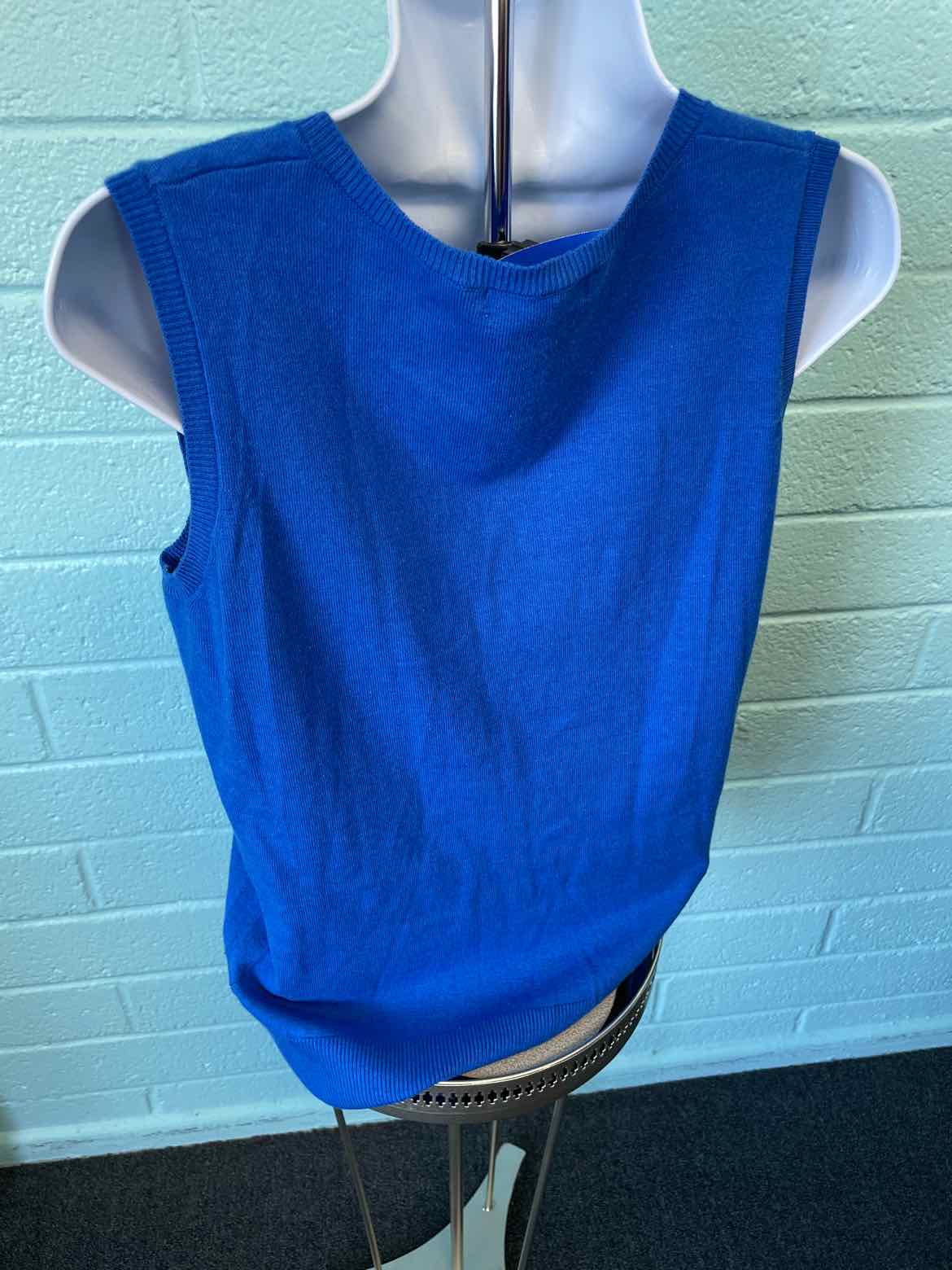 DG2 Size L Bright Blue Vest