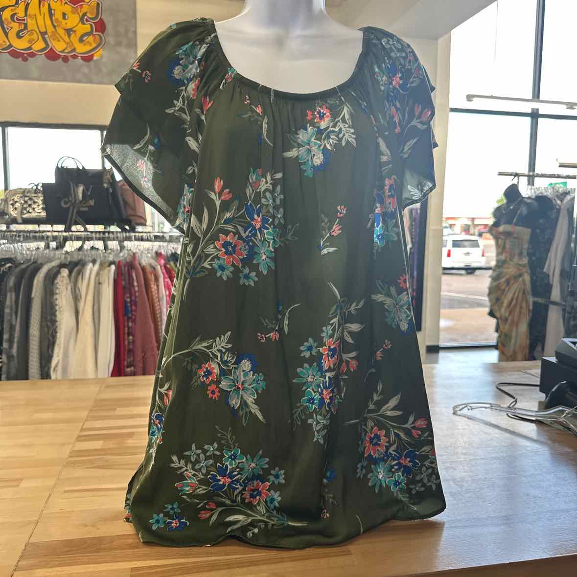 Terra & Sky Size 1X Green Sleeveless