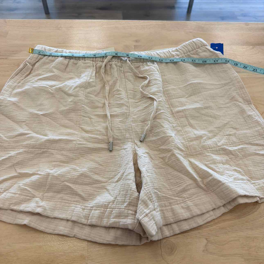 Calvin Klein Women Size L Tan New Shorts