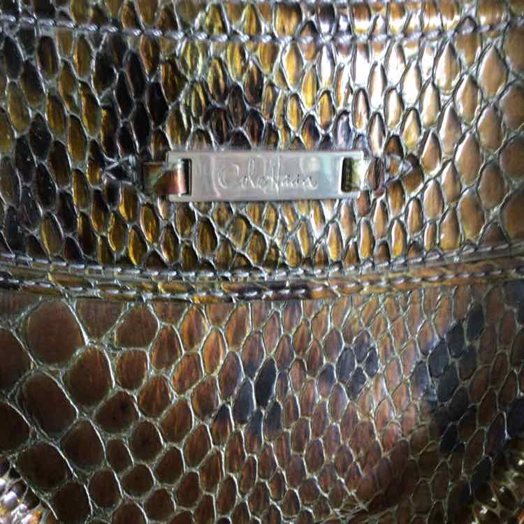 Cole Haan Brown & Green Handbag