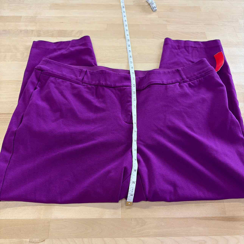 Lane Bryant Size 20 Purple Preloved Pants
