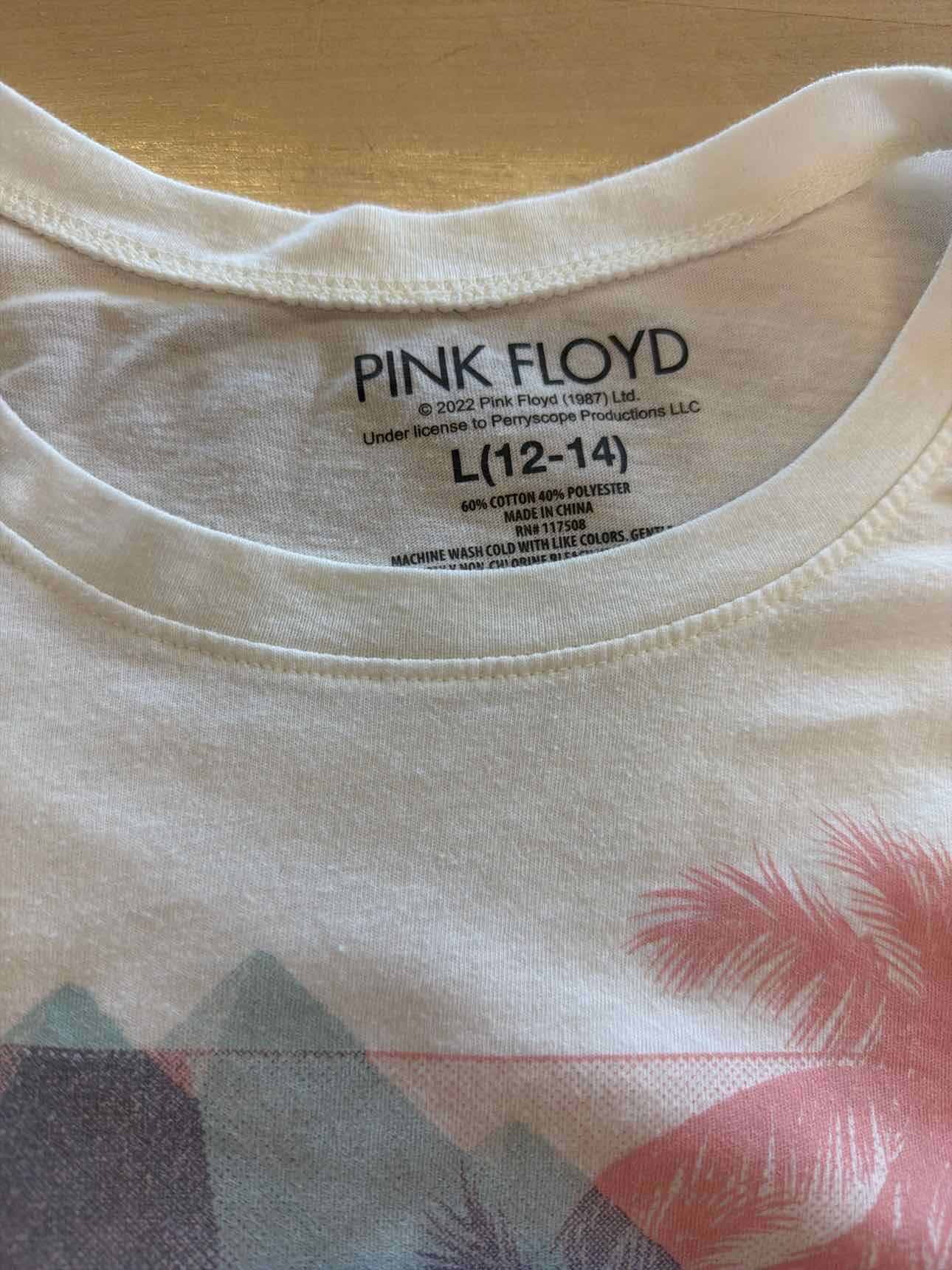 PINK FLOYD Size L White T-shirt