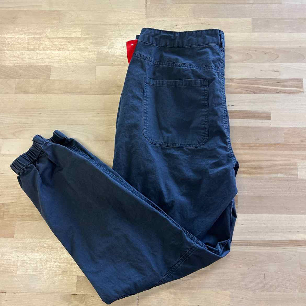Sundance Size 10 Gray Preloved Pants