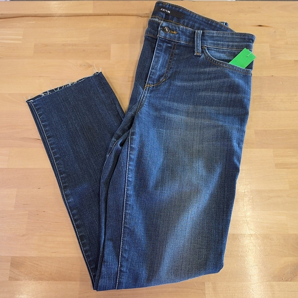 Joe B. Size 29 Blue Denim Preloved Jeans