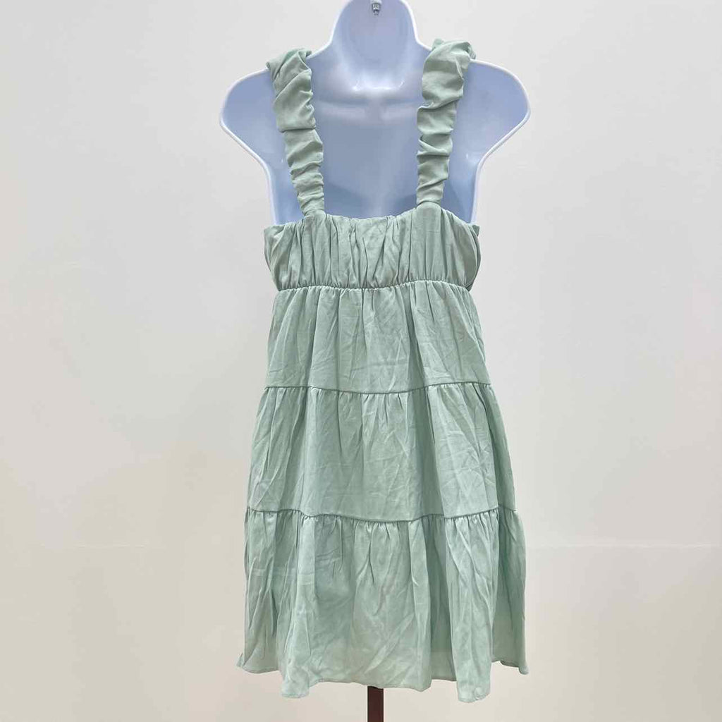 pink rose Size S Mint green New Dress