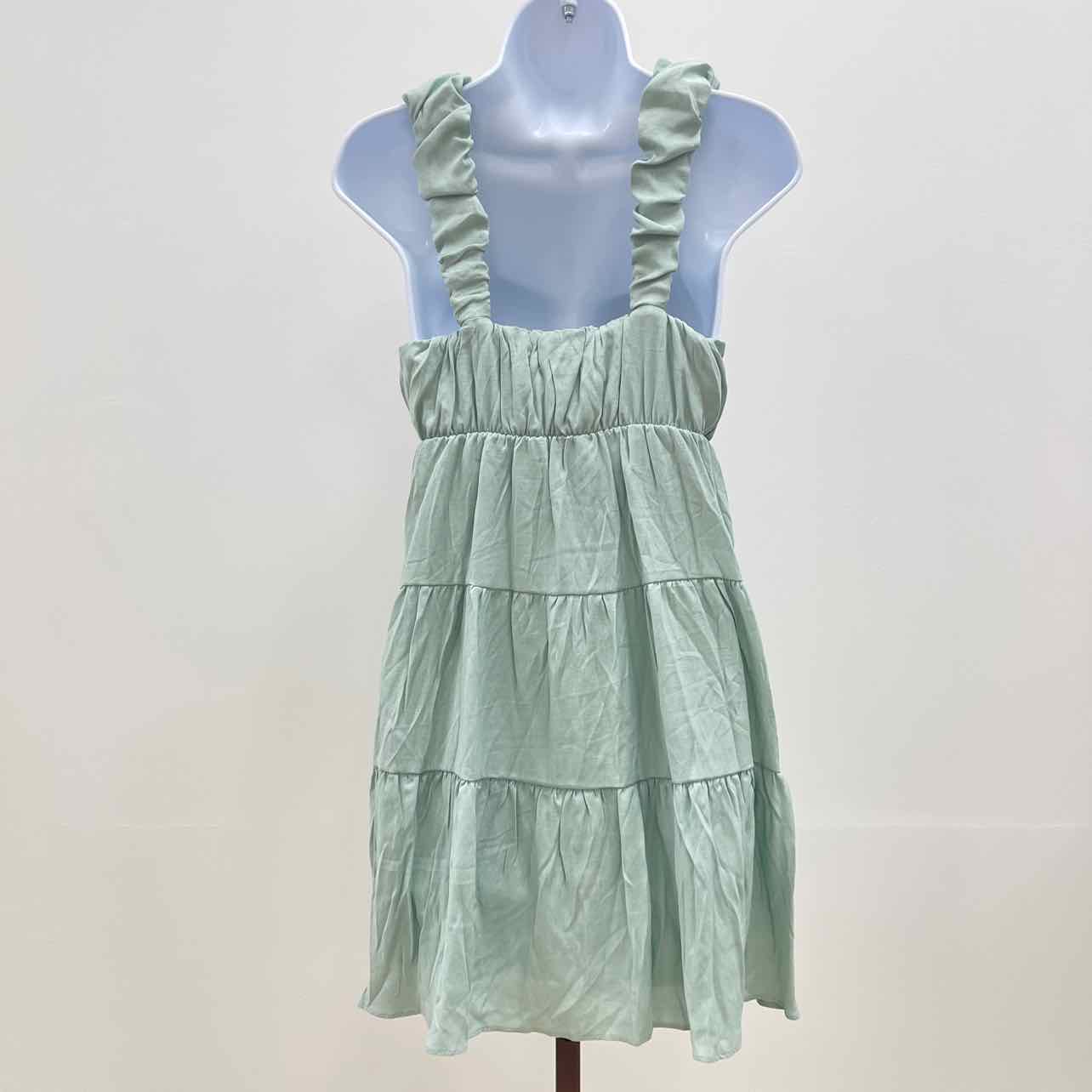 pink rose Size S Mint green New Dress