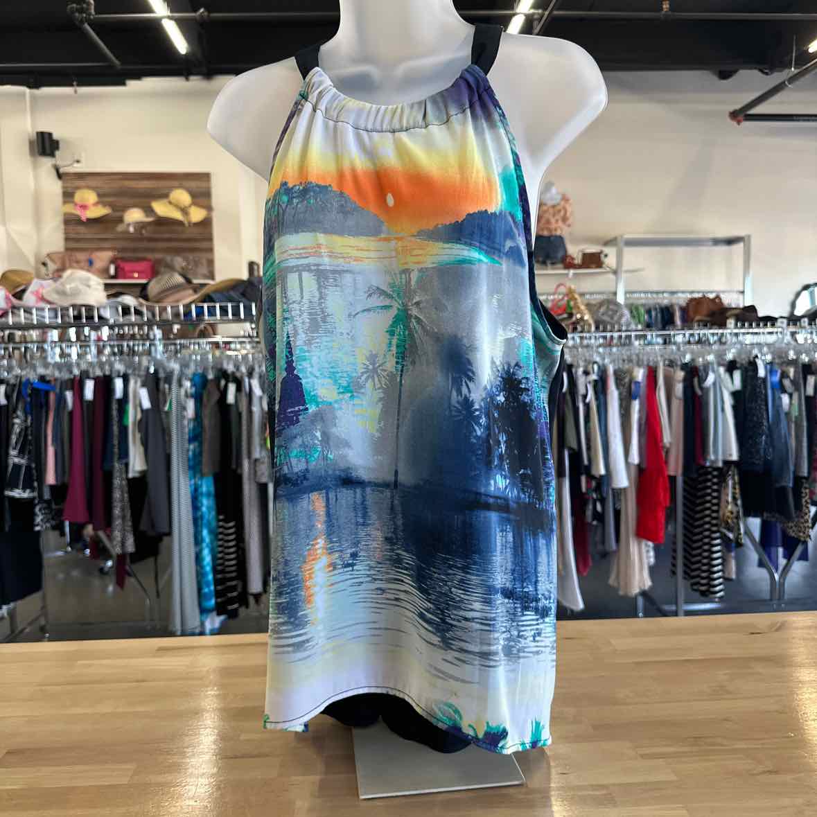 Nicole Size L Multi-Color Sleeveless