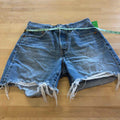 Levi's Women Size 11 Denim Preloved Shorts