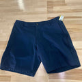 LuluLemon Men's Size 30 Blue MENS Shorts