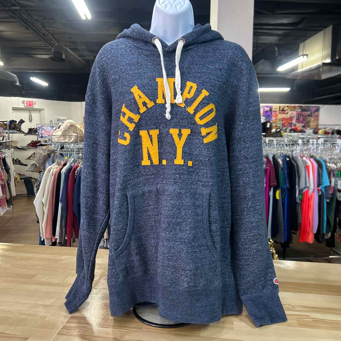 Champion Size L Gradient Preloved Hoodie