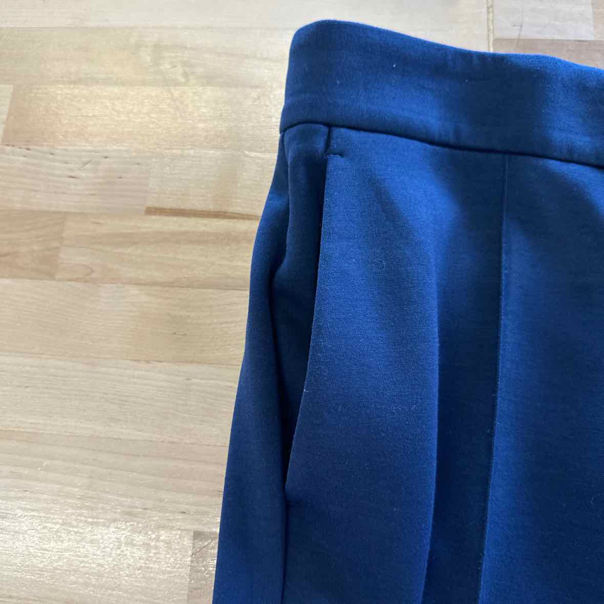 Ann Taylor Size 6P Blue Pants