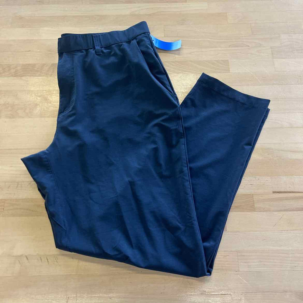 Fabletics Size L Gray MENS Pants