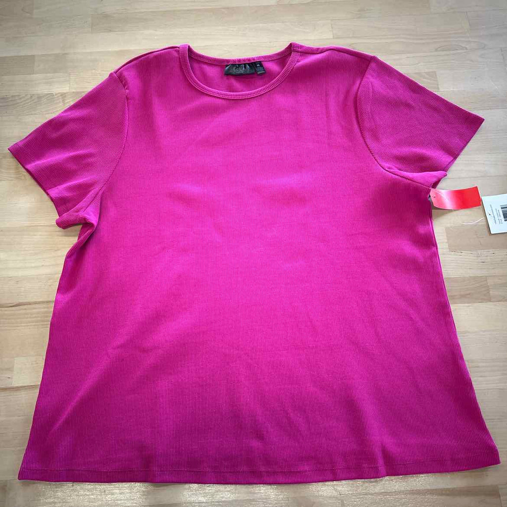 rafaella Size 2X Pink New T-shirt