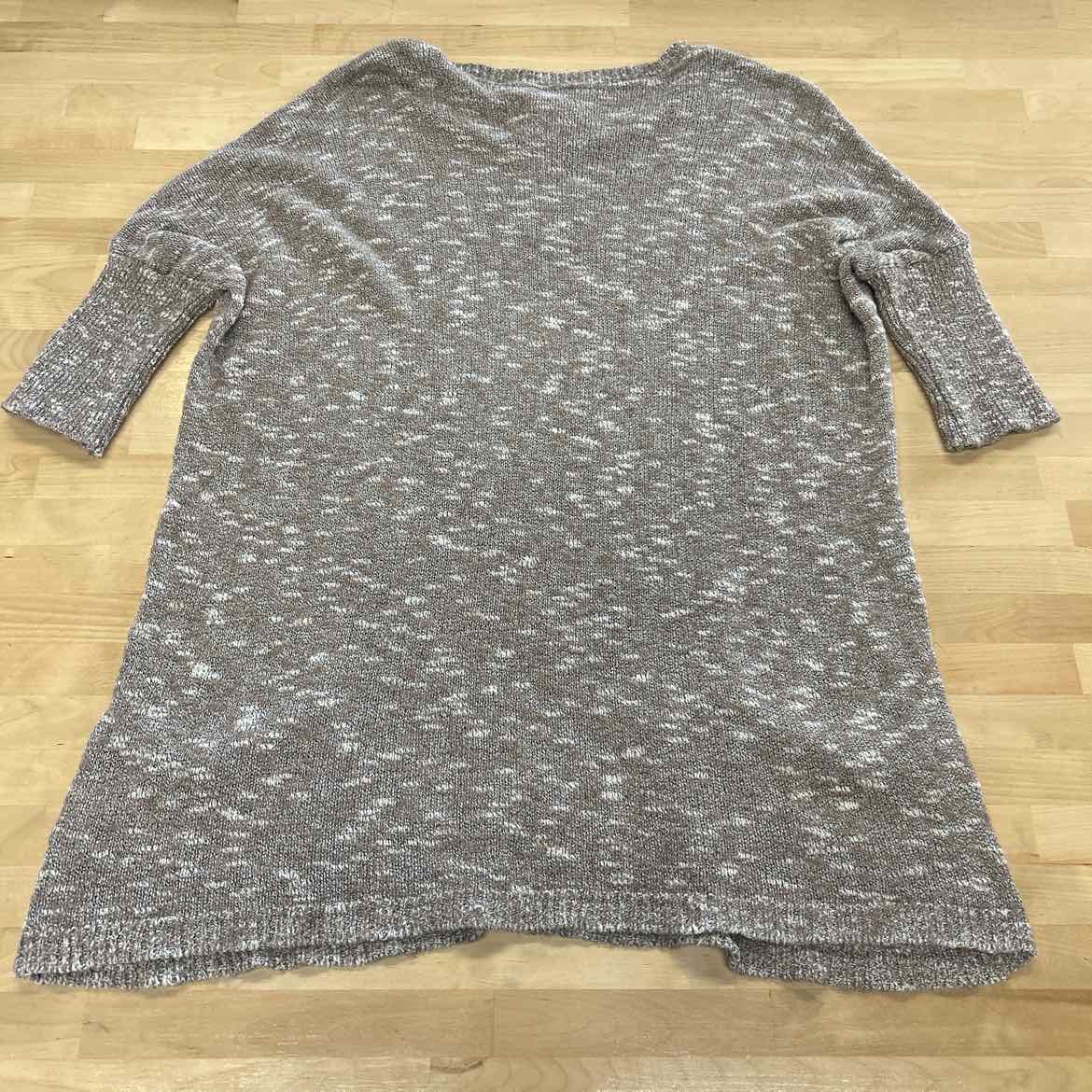 Express Size M/L Beige Sweater