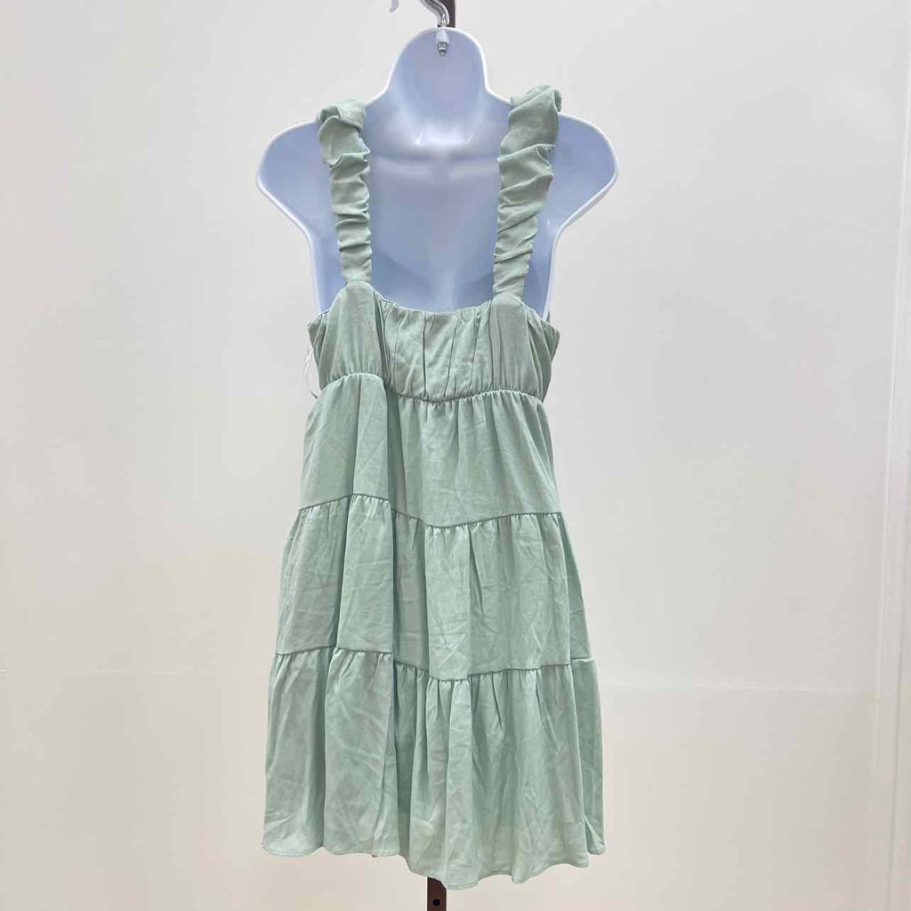 pink rose Size L Mint green New Dress