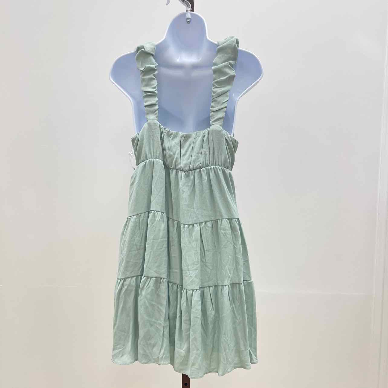 pink rose Size L Mint green New Dress