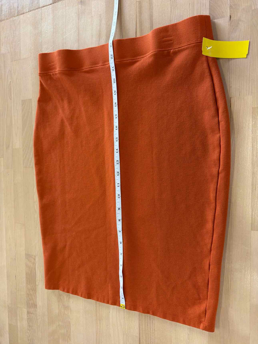 Iris Size 1X Orange Skirt