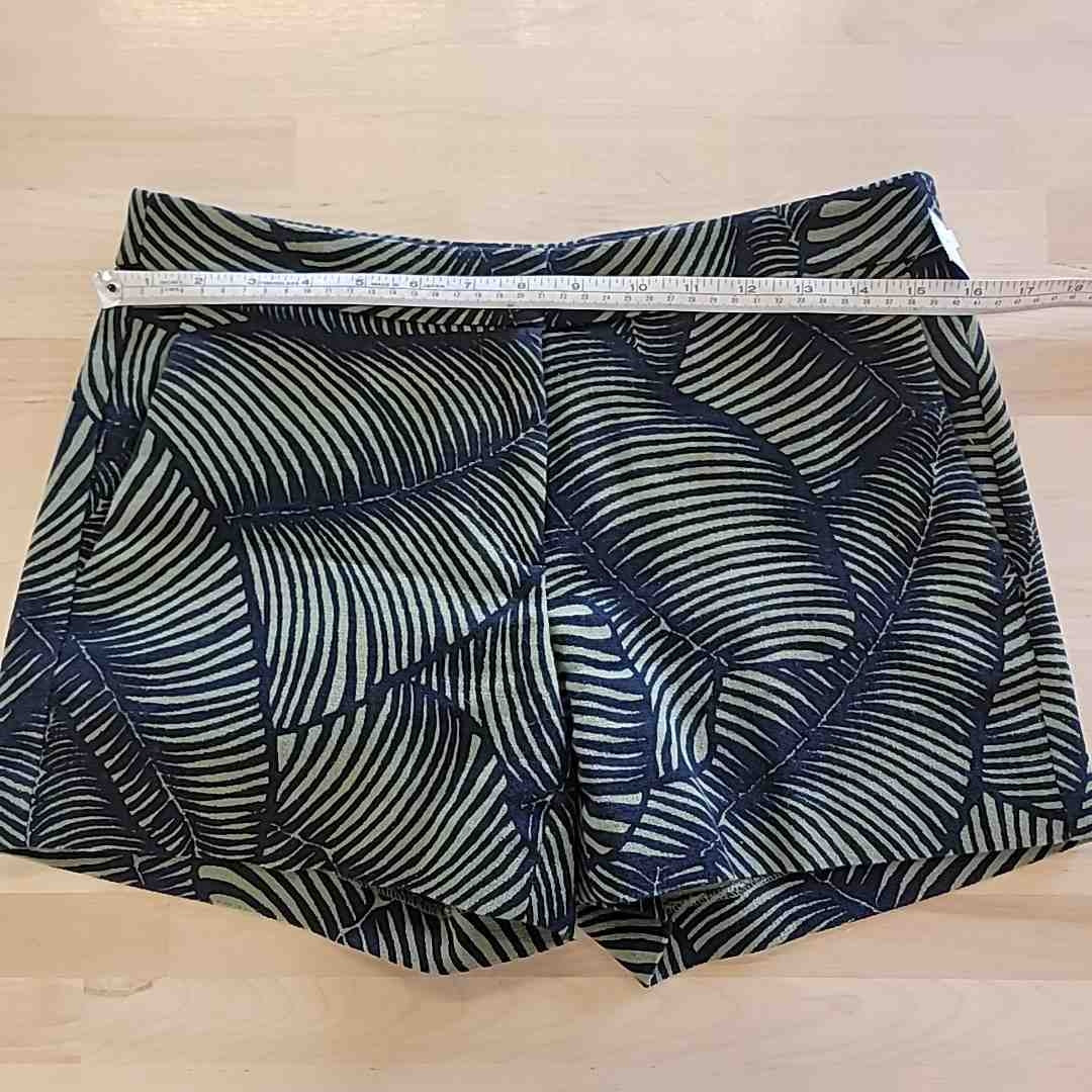 Ann Taylor Size 2 Black & Green Shorts