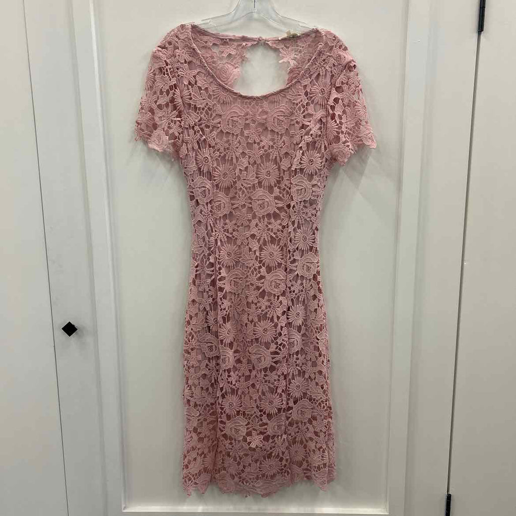 Blushing heart Size L Pink Preloved Dress