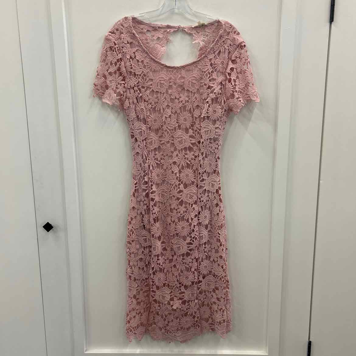 Blushing heart Size L Pink Preloved Dress