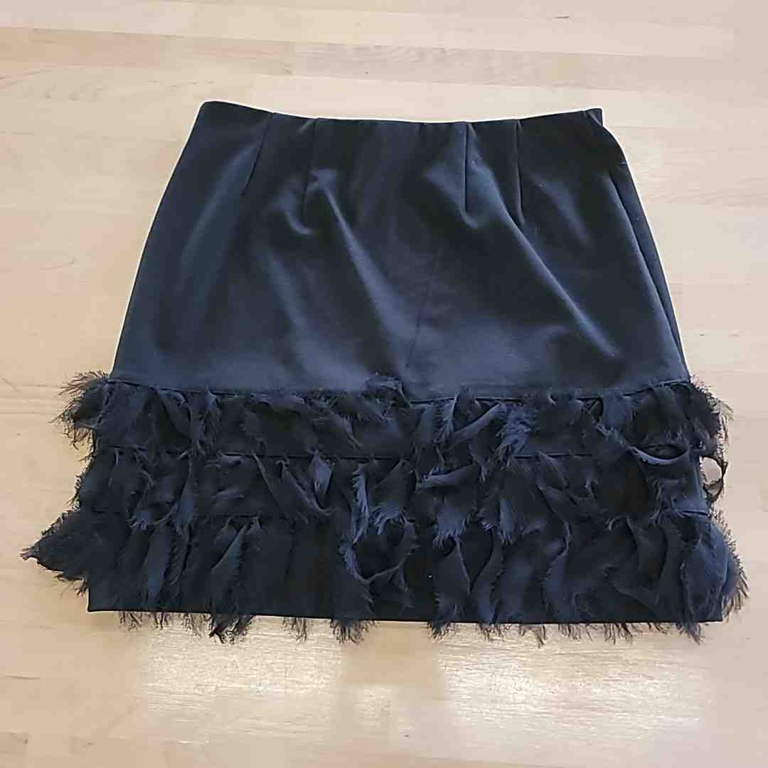 Ann Taylor Size 2P Black Skirt