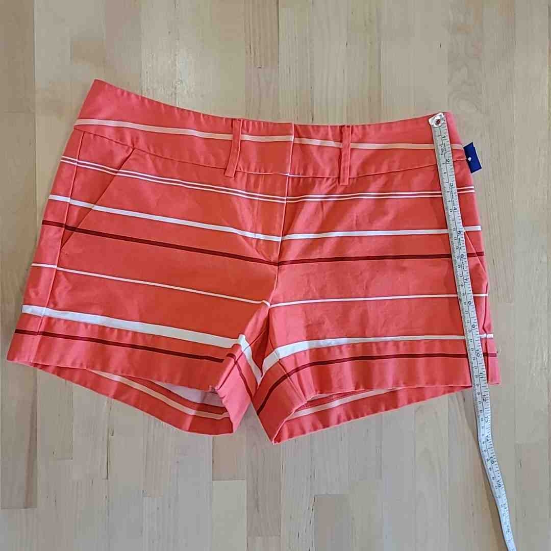 7th avenue Size 2 Orange Shorts