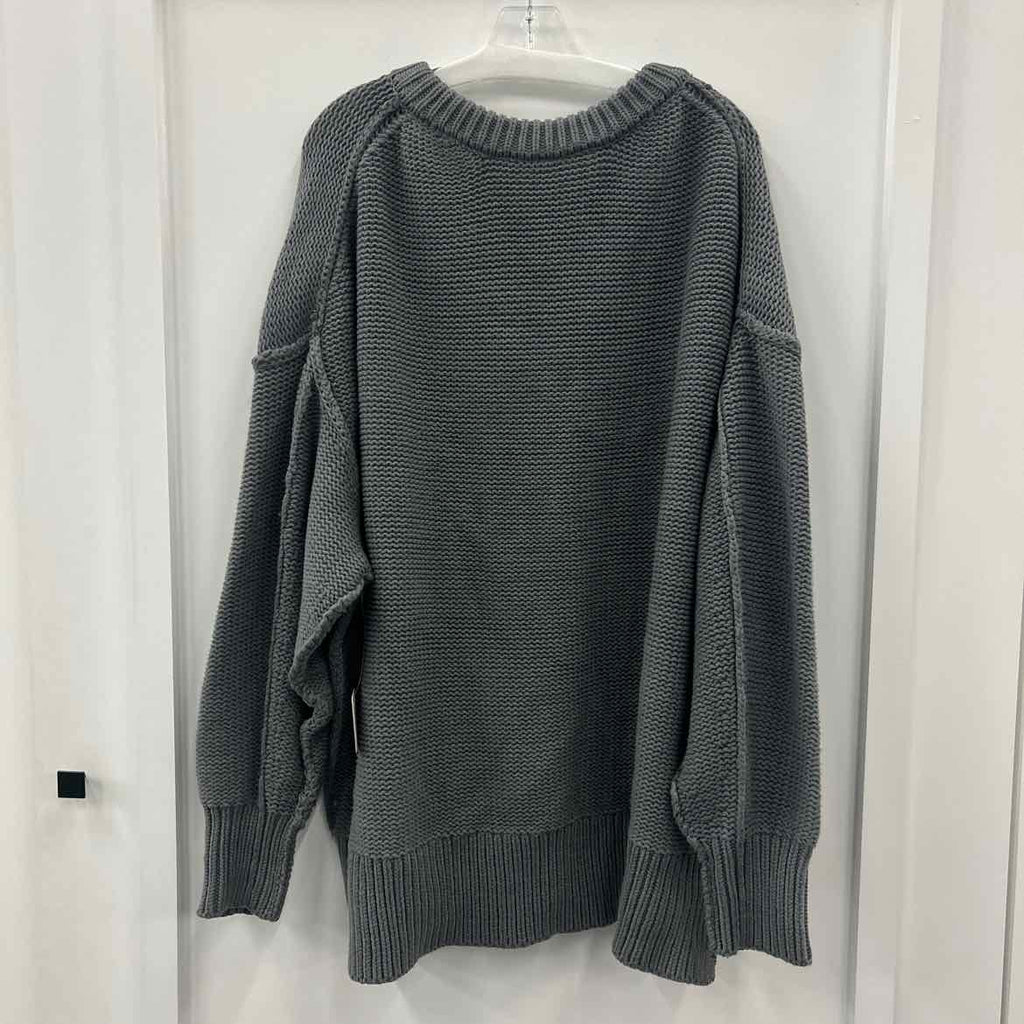 Free People Size L Gray Knit Sweater